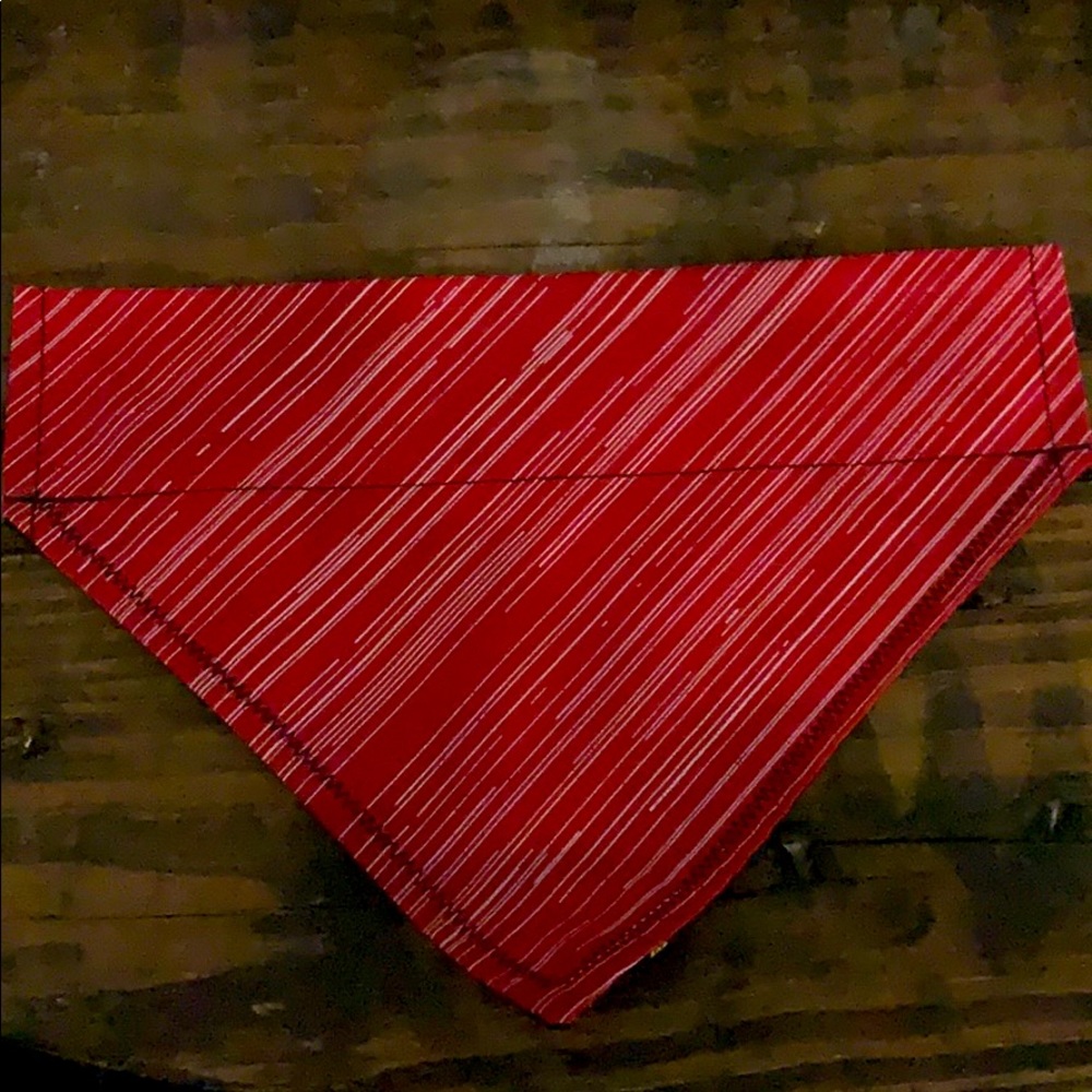 Small over collar dog bandana
